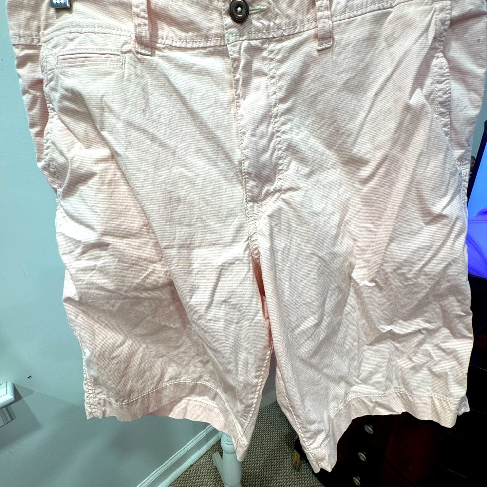 American Eagle Outfitters Pink Flat Front Shorts